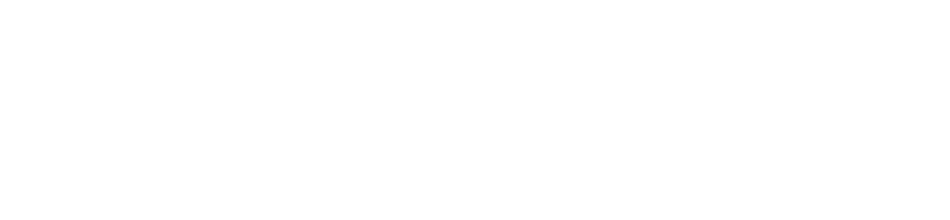 Partner - SheFoundry